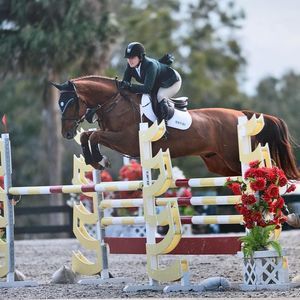 Meet your Posher, Alexa